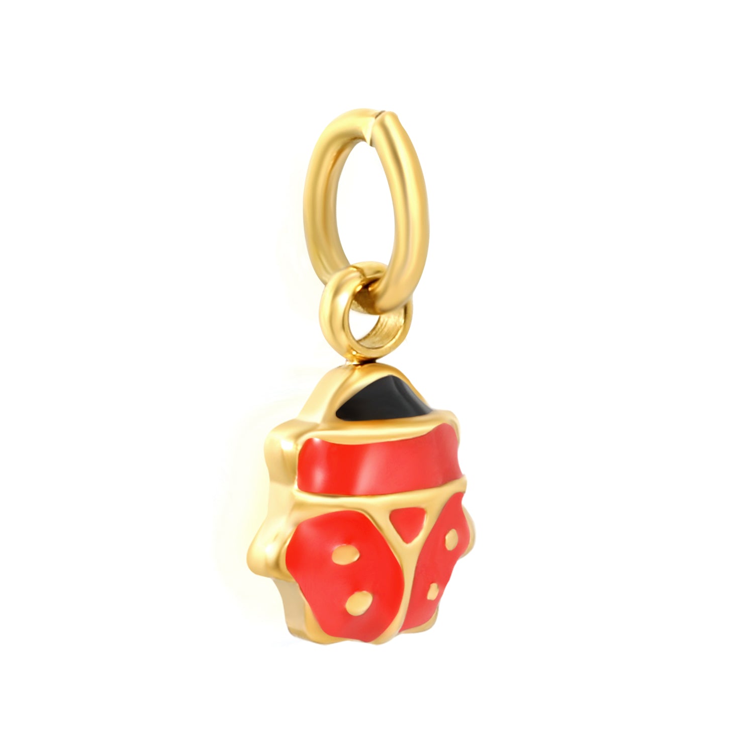 Lucky Ladybug Charm